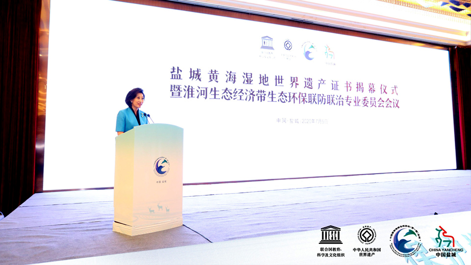 2020盐城黄海湿地世界遗产证书揭幕仪式