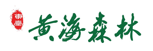 黄海森林
